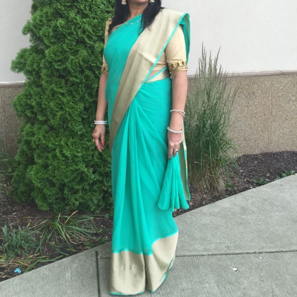 Beautiful Indian sari saree
